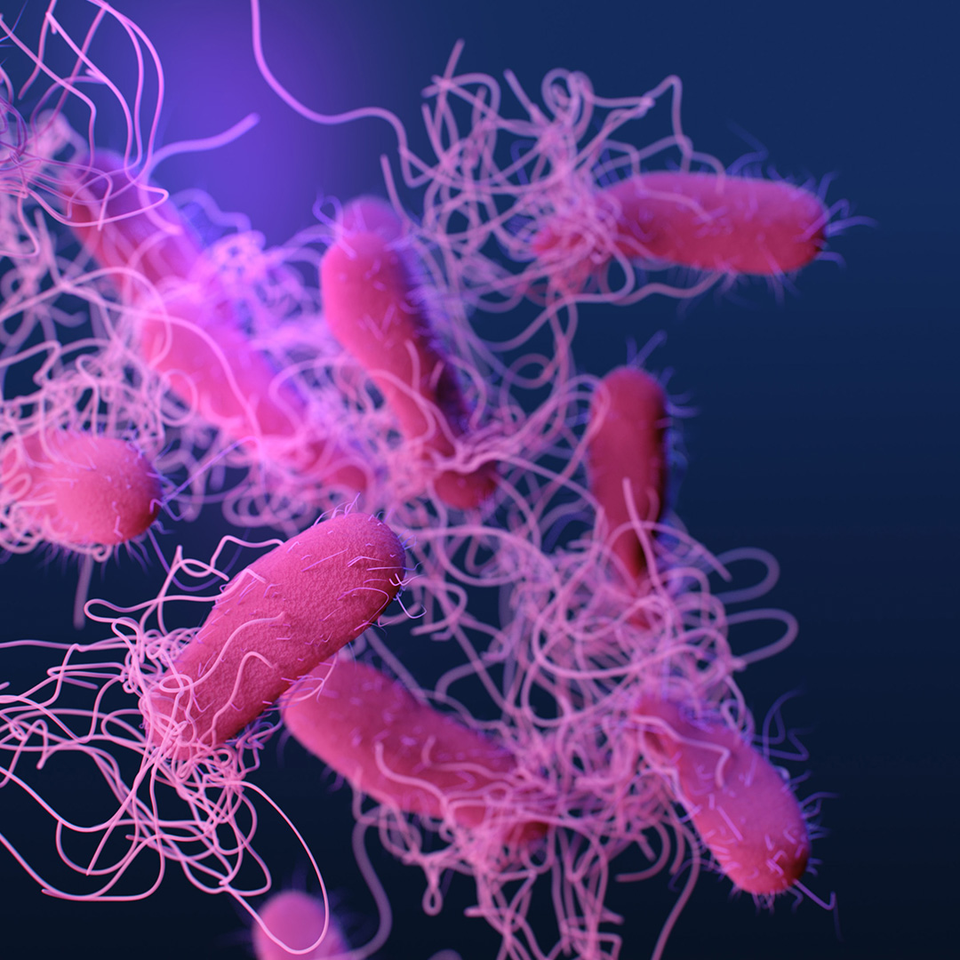 microbes