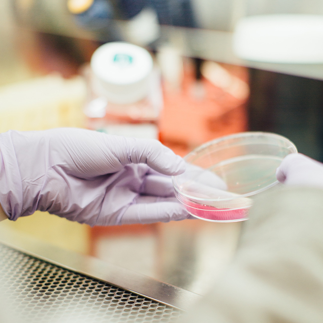 Testing nutraceuticals
