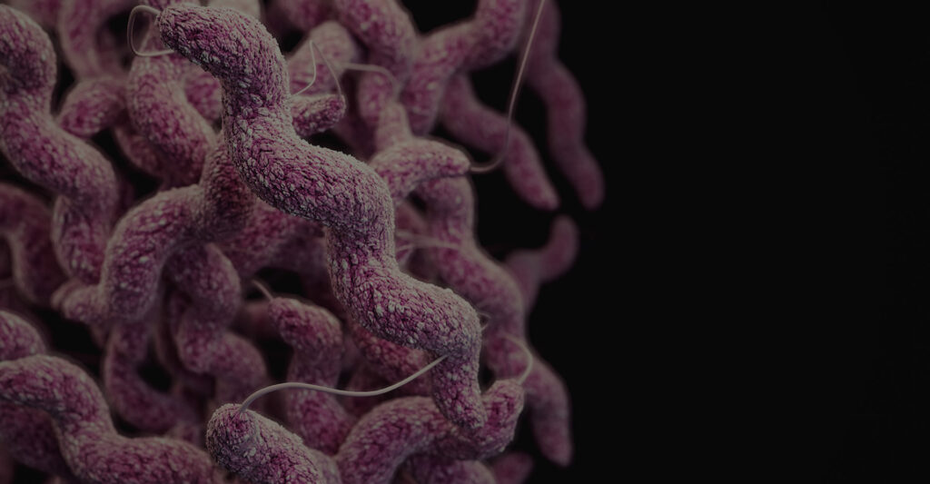 pink microbes