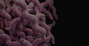 pink microbes