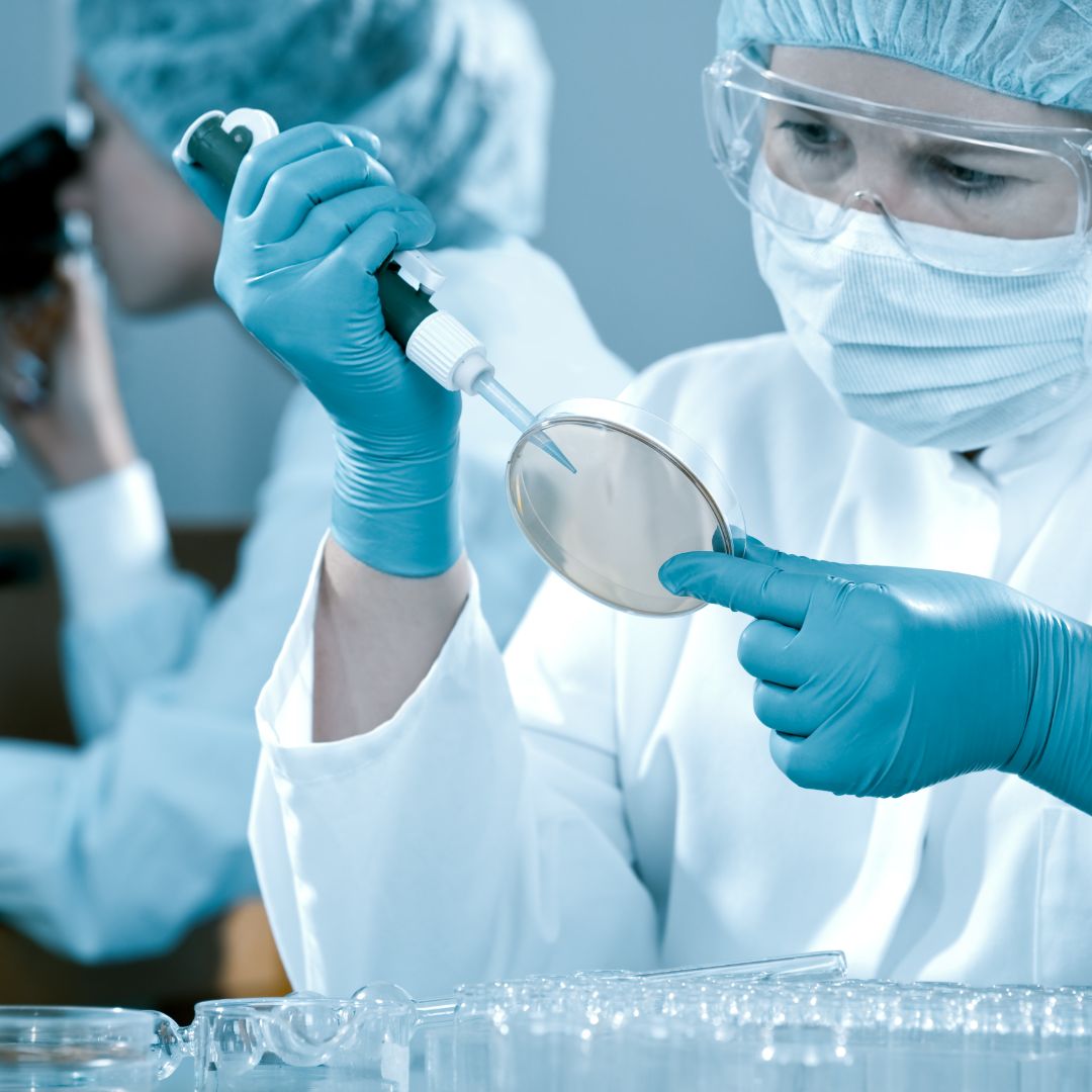 lab2