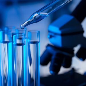 img of a lab